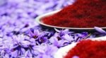 Premium Afghan Saffron